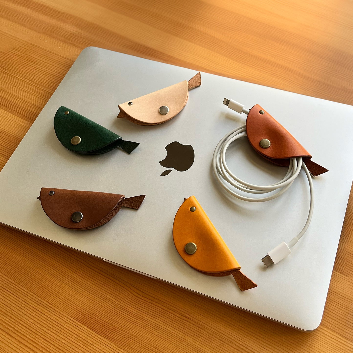 Uccelli 小飛鳥皮革集線器